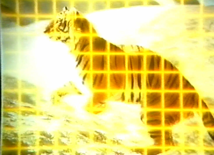 The grid covers a tiger sitting on snow, following the shape of its body.