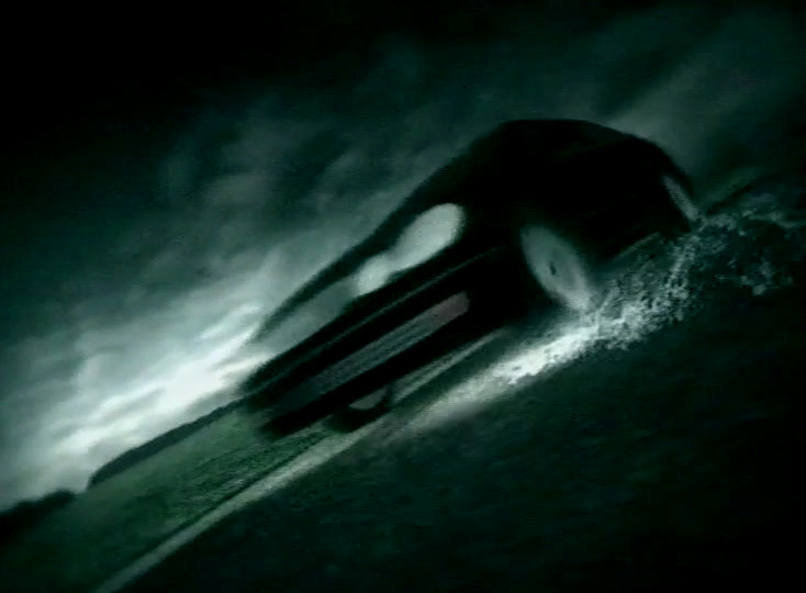 The worm stretched out along the foreground, thin grass and standing water behind it
