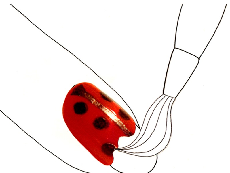 A finger drawn in black line, a fine brush painting its nail glossy red with dark spots like a ladybird.